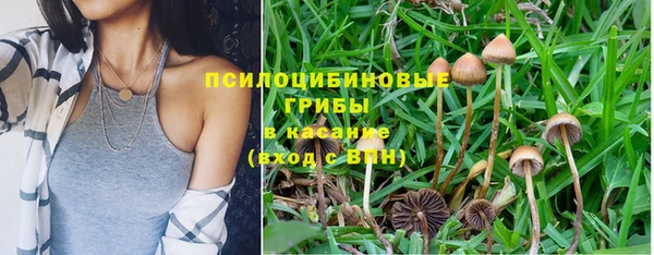 ешки Кинешма