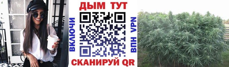Канабис LSD WEED  Купить закладки  Гусь-Хрустальный 
